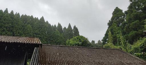 農業用トラクターお貸しください・お譲りください