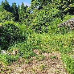 農業用トラクターお貸しください・お譲りください