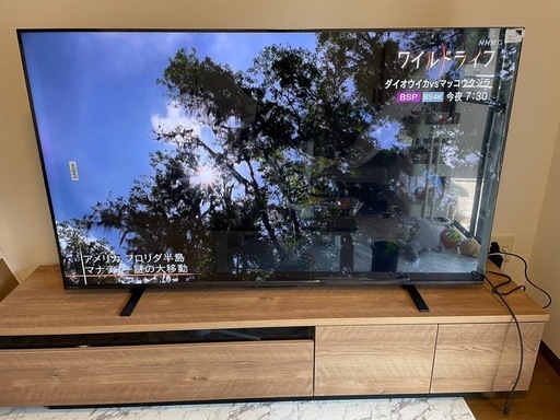 4K液晶テレビREGZA65型
