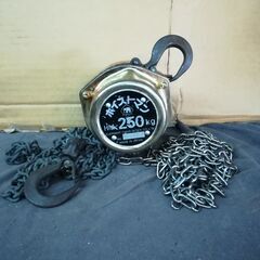 　象印　フック式ホイストマン　２５０ｋｇ巻き上げ　1.5
