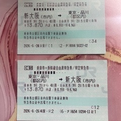 東海道新幹線　チケット　往復