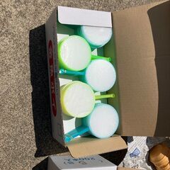 金魚すくいセット