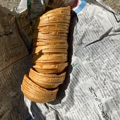 金魚すくいセット