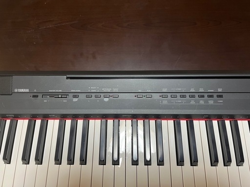 鍵盤楽器、ピアノ M-AUDIO prokeys Sono88\n
