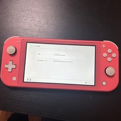 Switchライトとカセット、充電器のセット