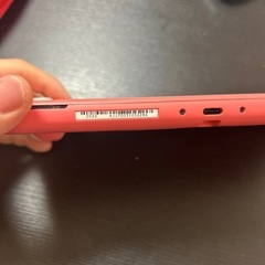 Switchライトとカセット、充電器のセット