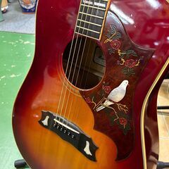 愛品館八千代店】Rider J-300D アコースティックギター