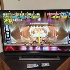 即日受渡❣️三菱39型 Blu-ray、HDD内蔵撮る、見る、残すが簡単34500円