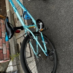 24インチ　ジュニアサイクル ジュニア用24インチ マウンテン/クロスバイク 8段変速 英国Squish製