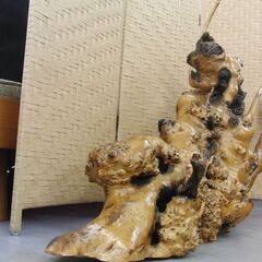 瘤 瘤木 約20kg 天然木 自然木 古木 流木 変木 天然木 瘤杢 飾り木 置物 インテリア オブジェ 和風 札幌 手稲