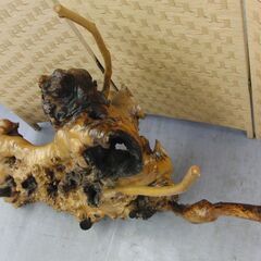 瘤 瘤木 約20kg 天然木 自然木 古木 流木 変木 天然木 瘤杢 飾り木 置物 インテリア オブジェ 和風 札幌 手稲