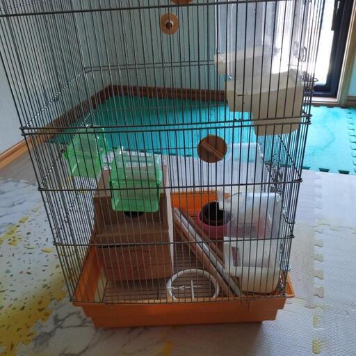 高級鳥かご