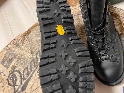 Danner Light ダナーライト