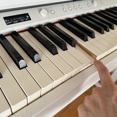 ローランド電子ピアノHP704