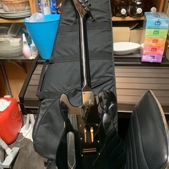 布袋モデル　フェルナンデス