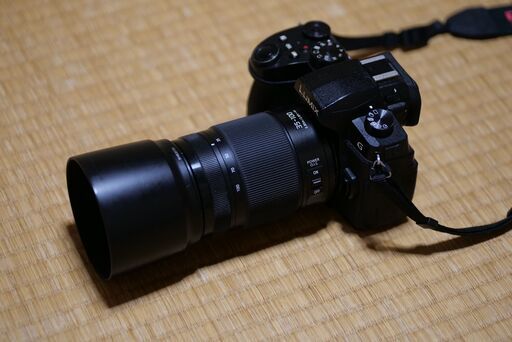 【LUMIXユーザー必見！】LEICA DG VARIO-ELMARIT 35-100mm / F2.8 / POWER O.I.S.