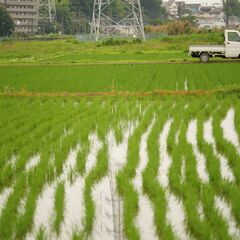 【LUMIXユーザー必見！】LEICA DG VARIO-ELMARIT 35-100mm / F2.8 / POWER O.I.S.