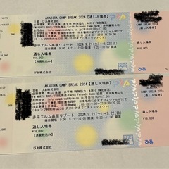 AKABIRA CAMP BREAK 通し入場券2枚