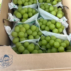 シャインマスカット 秀品 5㌔ 一箱 大房