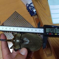 大型ペアエレファスゾウカブト