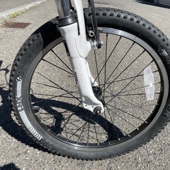 トレック20インチ