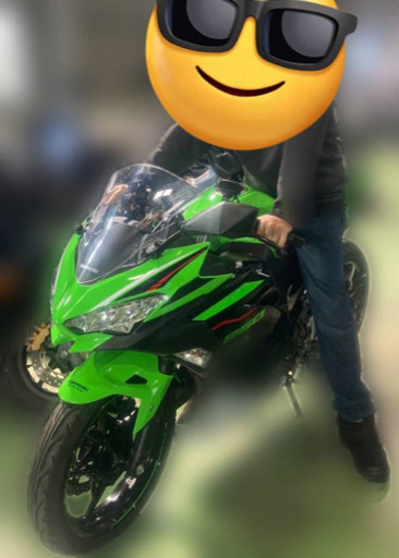 カワサキ Kawasaki Ninja250 KRT