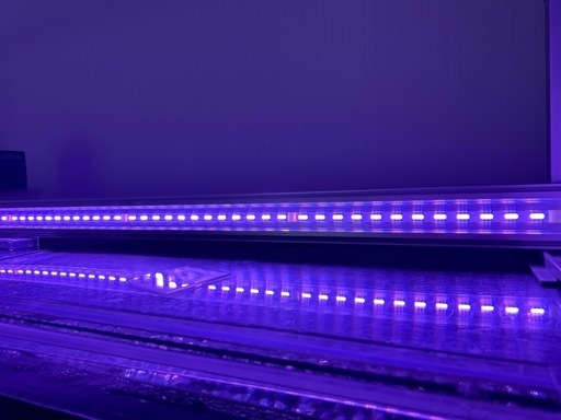 ZENSUI（ゼンスイ） LED PLUSシャイニングブルー 1500