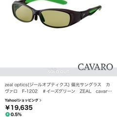 決定TALEX偏光グラス