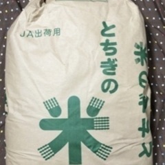 2023年10月産コシヒカリ精米 30kg