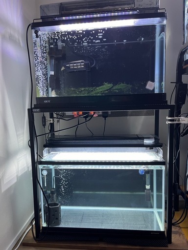 水槽アクアリウム
