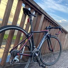 GIANT TCR SLR