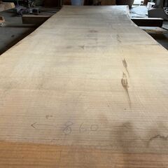 イチョウ 一枚板 乾燥材 W2450mm！