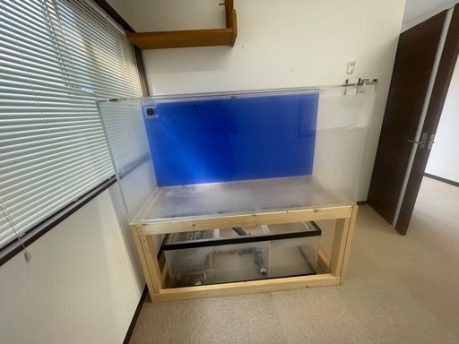 水槽 金魚 アロワナ 熱帯魚\n