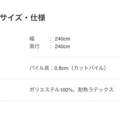 【FLYMEe】ペルシャ絨毯　ラグ