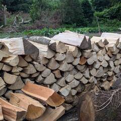 ★長期ストック用、未乾燥薪、15,000円（配送込）