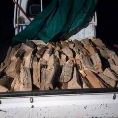 ★長期ストック用、未乾燥薪、15,000円（配送込）