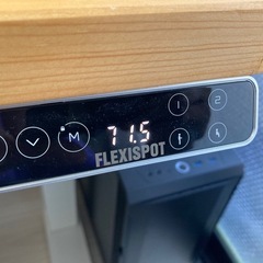 【期間限定天板付き】FLEXISPOT EJ2 脚のみ