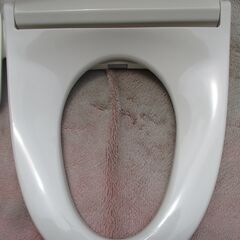 ☆パナソニック Panasonic DL-ERX10-CP ビューティ・トワレ 温水洗浄便座 ウォシュレット ERXシリーズ◆2022年製・スケジュール学習節電