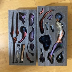 絶対領域綾波レイ初期ロット