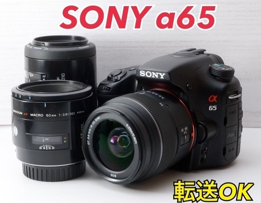 ★SONY α65★S数約2900回●トリプルレンズ●スマホ転送●  1ヶ月動作補償あり！ 安心のゆうパック代引き発送！ 送料、代引き手数料無料！