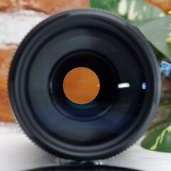 【全国送料無料】⭐️美品⭐️ Canon EF 75-300㎜ F4-5.6 Ⅲ USM✨超望遠レンズ 静岡県中部でお届けします（他の地域もご相談ください♪）→運転が不慣れな為、お近くまで来ていただけますと助かります✨✨ キャノン キヤノン イベント 旅行