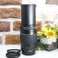 【全国送料無料】⭐️美品⭐️ Canon EF 75-300㎜ F4-5.6 Ⅲ USM✨超望遠レンズ 静岡県中部でお届けします（他の地域もご相談ください♪）→運転が不慣れな為、お近くまで来ていただけますと助かります✨✨ キャノン キヤノン イベント 旅行