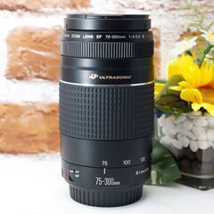 【全国送料無料】⭐️美品⭐️ Canon EF 75-300㎜ F4-5.6 Ⅲ USM✨超望遠レンズ 静岡県中部でお届けします（他の地域もご相談ください♪）→運転が不慣れな為、お近くまで来ていただけますと助かります✨✨ キャノン キヤノン イベント 旅行