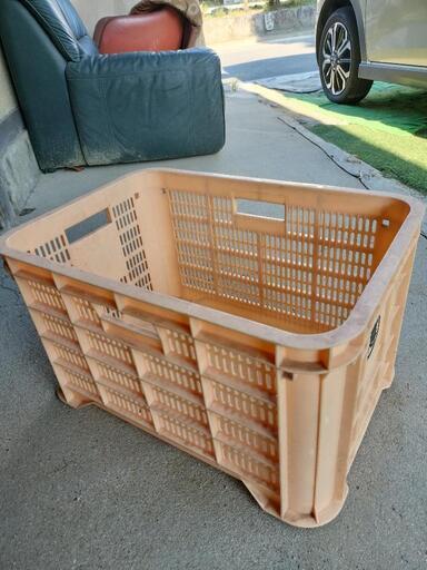 収穫用コンテナ　100個(中古)