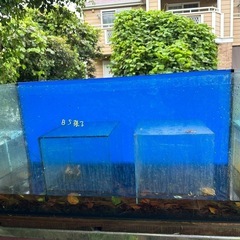 ガラス120cm水槽