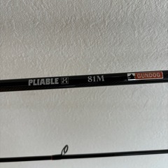 美品✨FIDELITY PLIABIE 81M(フィデリティー　プライアブル)