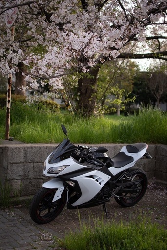 カワサキ Ninja250 SE EX250L