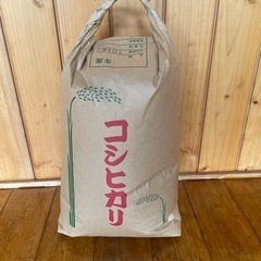 令和5年 茨城県産コシヒカリ 8/31精米10kg 専用保冷庫保...