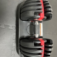 可変式ダンベル2個