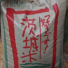 令和6年　茨城県産　コシヒカリ　30キロ